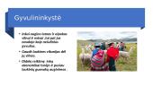 Inkų civilizacija 11 puslapis