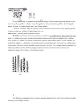 Technologiniai matavimai - gera teorija 17 puslapis