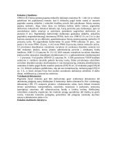 Biudžetas ir darbo užmokestis 2 puslapis