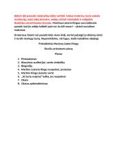 Vieša kalba apie Martyną Liuterį Kingą 3 puslapis