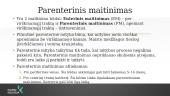 Transfuziologijos pagrindai. Parenterinis maitinimas. 20 puslapis