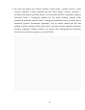 Viljamso sindromas 13 puslapis