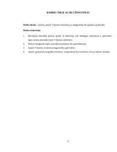 Viljamso sindromas 3 puslapis