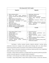 UAB “BeautyNail” įmonės veikla 12 puslapis