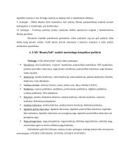 UAB “BeautyNail” įmonės veikla 13 puslapis