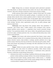 UAB “BeautyNail” įmonės veikla 14 puslapis