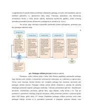 UAB “BeautyNail” įmonės veikla 16 puslapis