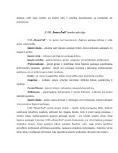 UAB “BeautyNail” įmonės veikla 5 puslapis