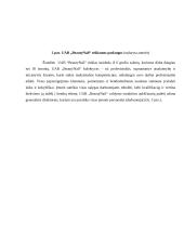 UAB “BeautyNail” įmonės veikla 7 puslapis