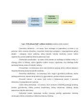 UAB “BeautyNail” įmonės veikla 8 puslapis