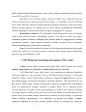 UAB “BeautyNail” įmonės veikla 10 puslapis