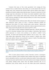 Sėkmingos įmonės prioritetai 4 puslapis