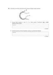 Atsiskaitymas „Dujų apykaita organizmuose“ 4 puslapis