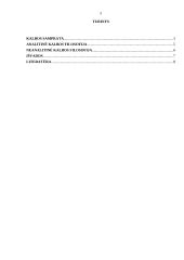 Kalbos filosofinė esė