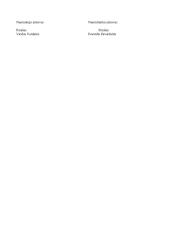 Automobilio nuoma sutartis 2 puslapis