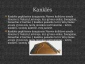 Autentiški lietuvių liaudies instrumentai 2 puslapis