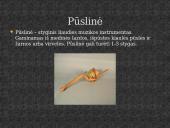 Autentiški lietuvių liaudies instrumentai 3 puslapis