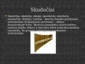 Autentiški lietuvių liaudies instrumentai 4 puslapis