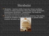 Autentiški lietuvių liaudies instrumentai 6 puslapis