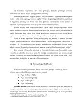 Specialieji administracinės teisės principai 4 puslapis