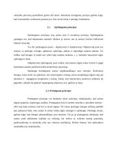 Specialieji administracinės teisės principai 7 puslapis