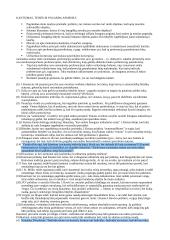 Teisės filosofinė samprata 4 puslapis