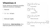 Vitamino A įtaka regai: nuo mechanizmų iki patologijų 3 puslapis