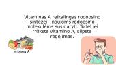 Vitamino A įtaka regai: nuo mechanizmų iki patologijų 10 puslapis
