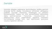 Įmonių ataskaita UAB „Geras baldų fabrikas“ ir AB „Freda“  13 puslapis