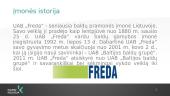 Įmonių ataskaita UAB „Geras baldų fabrikas“ ir AB „Freda“  2 puslapis