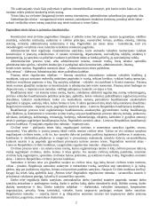 Teisės normų sistema 2 puslapis