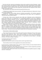 Teisės normų sistema 4 puslapis