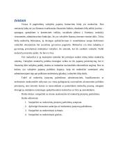 Teisinė atsakomybė už mokesčių įstatymų pažeidimus 2 puslapis