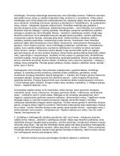 Estetika: meno filosofija 4 puslapis