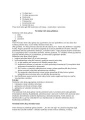 Teisės pagrindai - valstybės valdžia 4 puslapis