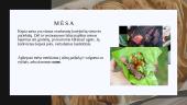 Korėjiečių virtuvė prezentacija 12 puslapis