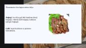 Korėjiečių virtuvė prezentacija 13 puslapis