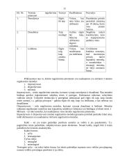 Teisės pagrindų teorija atsiskaitymui 11 puslapis