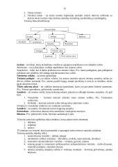 Teisės pagrindų teorija atsiskaitymui 15 puslapis