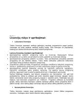 Referatas „Programinės įrangos licencijavimas“ 2 puslapis
