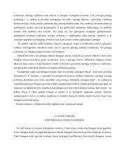 Teorija: teisės socialinė paskirtis ir funkcijos 10 puslapis