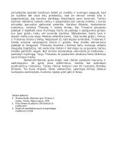 Riterio portretas 2 puslapis
