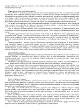 Teisės teorija: jos objektas 12 puslapis