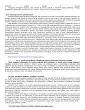 Teisės teorija: jos objektas 8 puslapis