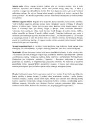 Antano Garšvos motinos charakteristika 2 puslapis