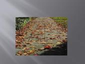 Šiluminio kūno plėtimosi taikymas 15 puslapis