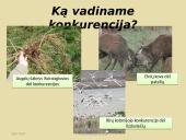 Konkurencija ekosistemose 3 puslapis