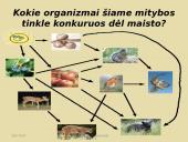 Konkurencija ekosistemose 5 puslapis