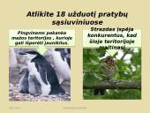 Konkurencija ekosistemose 6 puslapis