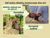 Konkurencija ekosistemose 8 puslapis